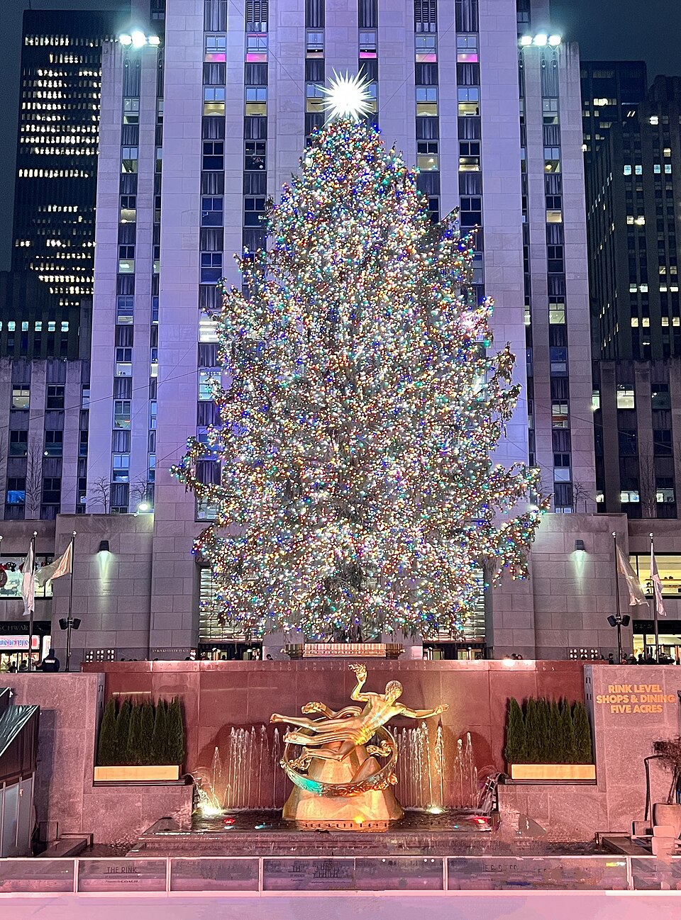 Rockefeller Christmas Tree